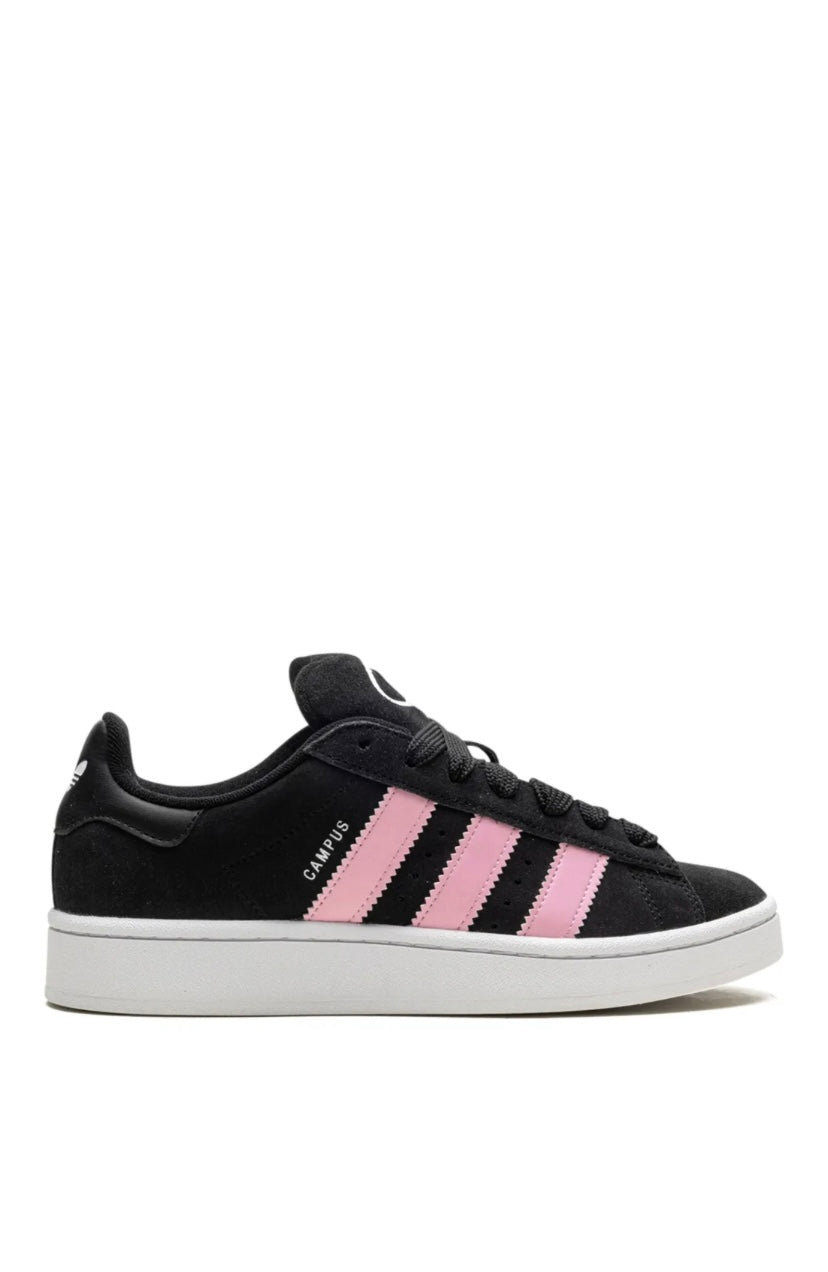 Adidas campus